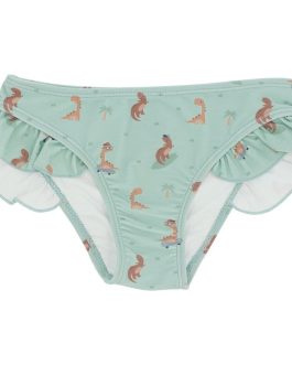 Bañador Braguita Cool Dinos